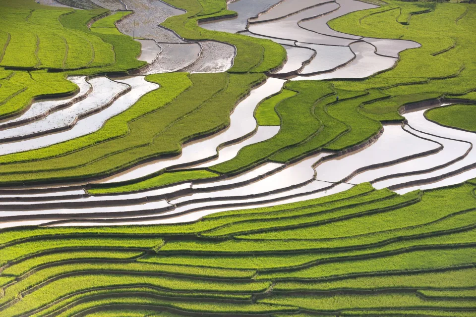 Kho gạo của Nguyễn Văn Thi